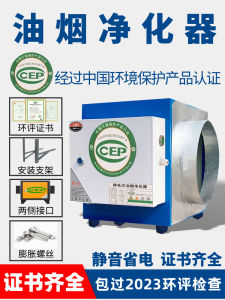 Small Commercial Kitchen Exhaust Gas Purifier 20000 Wind Volume Restaurant Dining Barbecue Ring Use Purifier Household Appliance