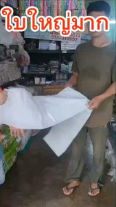 ถุงใหญ่ 60x80 นิ้ว 1 ใบ หนาย ถุงเก็บเสื้อผ้า ถุงใส่ตูกตา ถูกถูก ถูกถูก ถูกถูก ถูกถูก ราคา 499 บาท