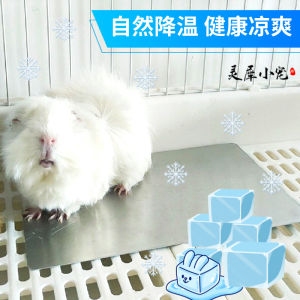 Pet Cooling Aluminum Board Ice Nest Pad Rabbit Hamster Cooling Board Pet Accessories Chinchilla Pet Food And Supplies