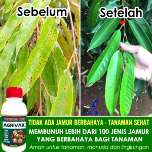 AGRIVAX Fungisida Pembasmi Semua Jenis Jamur Terampuh Pada Tanaman