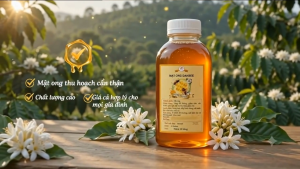 combo 2 chai 500ml Mật ong ngon dakbee mật ong nguyên chất chuẩn ngon vị đậm hơn mật ong hoa cà phê tăng cường sức khỏe sức đề kháng (chai pet) [DAKBEE_500ML_X2]