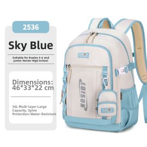 Edison | Large Capacity Lightweight Backpack with Back Protection