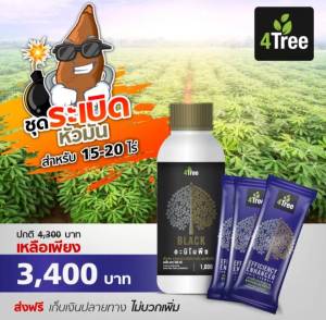 โฟร์ทรี4tree 3ซอง +อะมิโนแบล็คAminoblack 1ลิตร ชุดใหญ่ระเบิดหัวมัน ใช้ได้15-20ไร่ สร้างแป้ง เพิ่มน้ำหนัก เร่งหัว ราก