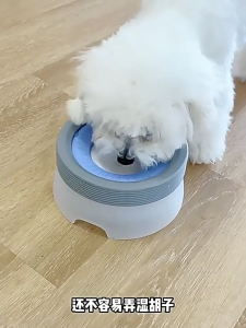 Dog Water Bowl Stainless Steel Slow Feeder Spill Proof Large Capacity Pet Water Dispenser for Small Medium Large Pets