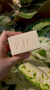 Pedia S Soap