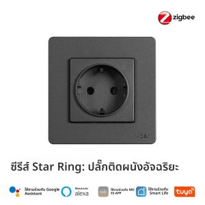 MOES Tuya ZigBee สมาร์ทซ็อกเก็ต EU Wall Embedded Outlet Energy Monitor ตัวบ่งชี้ App รีโมทคอนโทรลควบคุมเสียง Alexa Google Home