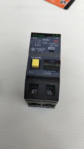 เมนเบรกเกอร์กันดูด 2P 63A ช้าง (CSO 291)