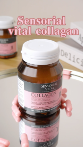 SENSORIAL VITAL COLLAGEN เซนโซเรียล ไวเทิล คอลลาเจน ผลิตภัณฑ์เสริมอาหาร บำรุง กระดูก ข้อต่อ ผิว