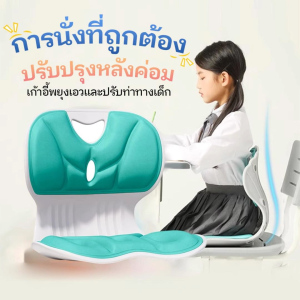 เบาะรองนั่ง เบาะรองนั่งเพื่อสุขภาพ เบาะปรับท่าทางและบรรเทาอาการปวดหลัง นั่งนานไม่เมื่อย มีให้เลือกหลากหลายสี