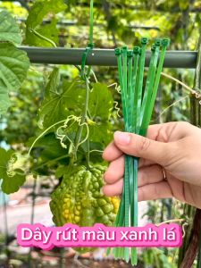 Dây rút nhựa ABS màu xanh lá  gói 50 sợi chuyên dùng trong sinh hoạt cột ống thép làm giàn/Dụng cụ hỗ trợ làm vườn