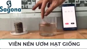 [10 viên] Viên Nén Xơ Dừa ươm hạt giống - Viên nén xơ dừa giá rẻ - Dễ sử dụng tiện ích giúp nảy mầm cao