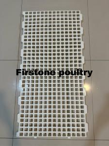 slat alas kandang ayam domba kambing plastik Grade A Firstone Poulty