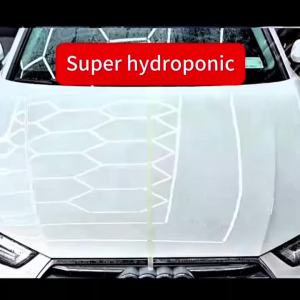 Ceramic Coating Car Nano Coating Agent Crystal Coating Liquid Hydrophobic Anti-Scratches Car Wax Coating Car Polishing Coating