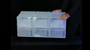 LUXU 12PCS Shoe Box Stackable Shoe Box Transparent Shoe Storage Box Foldable Drawer Case