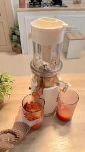 HAN RIVER/ Blender/ juicer&Blender Pemisah/700ML Multifungsi Blander/Electric Blender