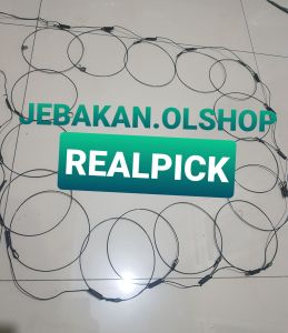 JERAT BIAWAK/ PERANGKAP BIAWAK/ JEBAKAN BIAWAK GARANGAN