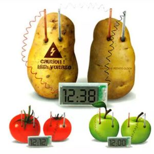 Green Powered Vegetable Fruit Potato Clock Creative Educational Science Experiment Teaching Aid Digital Timepiece Technological Craft
