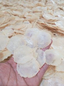 Emping Melinjo Mentah/Emping Kebumen Ukuran Kecil Sudah Sortir Siap goreng kemasan 1 kg