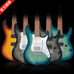IBANEZ | Beginner to Advanced Electric Guitar