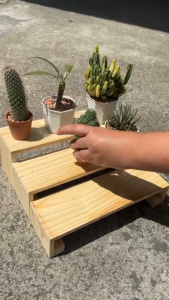 Stair – ชั้นไม้วางแคตตัส ทรงบันได ทำจากไม้สนแท้ วางต้นไม้เล็ก ชั้นวางโมเดล
