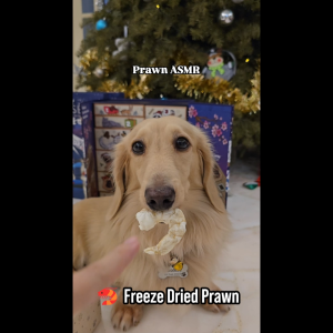 OMAKASE FREEZE DRIED Prawn Dog & Cat Single Ingredient Dehydrated Pet Treats