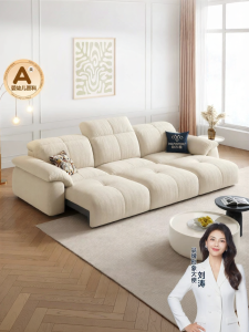 Pashaman | Electric Reclining Sofa Bed Zero Wall Foldable Cat Proof Fabric
