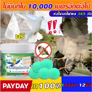 เรือนกระจก ขับไล่นก ตัวแทน กลิ่น ไป่ เสี่ยวเซิง ขับไล่นก ตัวแทน