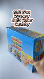 12/24-Piece Assorted Solid Color Design Mystery Steam Box SqueezeToy Retail Party Giveaway Pack