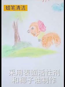 Multi-Purpose Stain Cleaner Wall Cleaning Paste (2 Bottles)