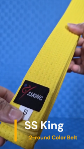 SS King 2 Rounds Martial Arts Color Belt