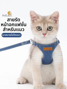 petlimit | Cat Leash Anti-escape For Small Cats