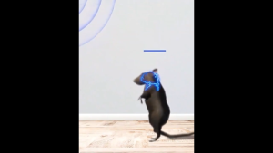 🐭ไม่ได้ผลชดใช้ 2 เท่า🐭 ผลการขับไล่ 100% ที่ไล่หนูไฟฟ้า คลื่นไล่หนูไล่หนู ปลอดภัยและรวดเร็ว เครื่องไล่หนู หนึ่งสามารถครอบคลุม 500 ตารางเมตร เครื่องไล่หนูsonic ไล่หนูไฟฟ้า ไล่หนูบนเพดาน เครื่องไล่หนูไฟฟ้า