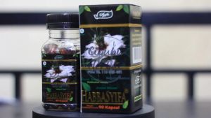 HABBASYIFA 90 KAPSUL