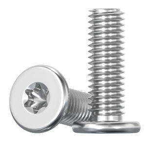 TIANZHUOJINSHU | Flat Head Phillips Screw 304 Stainless Steel