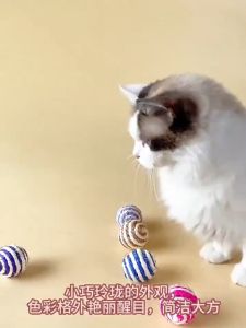 ของเล่นกัด ของเล่นหมา ลูกบอลกัด ลูกบอลแมว ลูกบอลเชือก ลูกป่านศรนารายณ์ ของเล่นแมว ของเล่นเคี้ยว