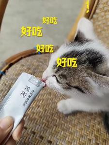 HELLOLEIBOO | Thức Ăn Ướt Dinh Dưỡng Tăng Cân Cho Mèo 120 Gói