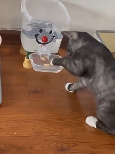 3L Pet Water Dispenser-Fed Feeder Large Capacity Cat Dog Water Fountain High 2