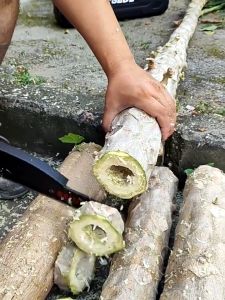 TATA Power Saw Gergaji Mesin Chainsaw mini Multifungsi 4/6/8 inch Multifungsi Gergaji Pemotong Kayu Tanpa Kabel Gergaji Listrik 2 Baterai Gergaji Genggam Gergaji Mesin Mini Power Tools