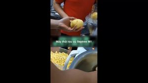 Máy thái rau củ quả công nghiệp đa năng thái lát thái sợi thái hạt lựu cắt khoai tây chiên. Thương hiệu Mỹ cao cấp Septree - M1. Hàng chính hãng