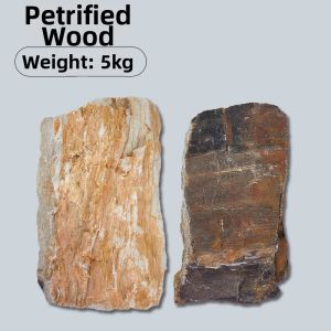 Yee | Acid Washed Blue Dragon Landscape Stone Set