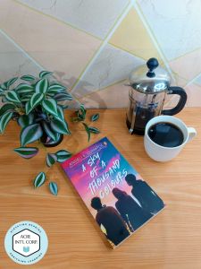 A Sky of A Thousand Colours