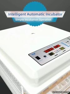 Egg Automatic Turning Incubator Egg Hatcher Automatik Penetasan Telur Ayam Mesin Menetas Telur 孵蛋器
