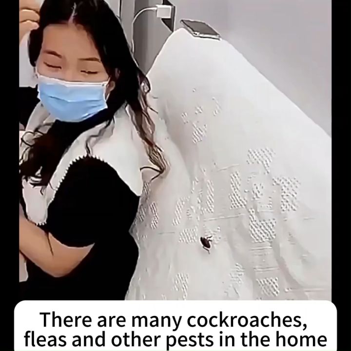 No fly can live fly killing powder spray 500ml fly spray killer Lazada PH