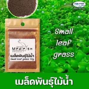 เมล็ดพันธ์ไม้น้ำ Small Leaf Grass by Medifish - ปลูกง่าย, โตไว - 10g
