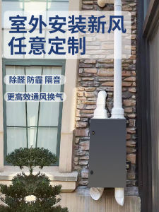 Outdoor New Fan Ductless Fresh Air System Household Wall-Mounted Positive Pressure Bidirectional Flow Full Heat Exchange Formaldehyde Removal