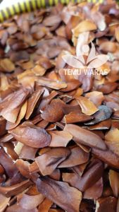 Biji Mahoni 500gr Organik Asli Gunung - Lebih PAHIT!