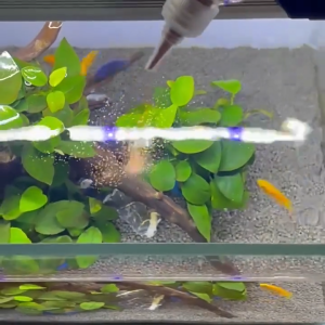 อาหารลูกปลากัด อาหารปลากัด อาทีเมียร์ อาหารลูกปลากัดแรกเกิด ทุกสายพันธุ์ โปรตีนสูง ป้อนได้โดยตรง