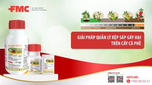 Thuốc trừ sâu Marshal 200SC