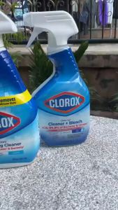 Made in USA Clorox Disinfectant Spray, 3 Flavors to Choose From, Controls Rust, Corrosion, and Scale, 946ml