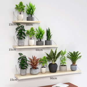 Easy-to-mount Wall Flower Shelf Upgrade Version